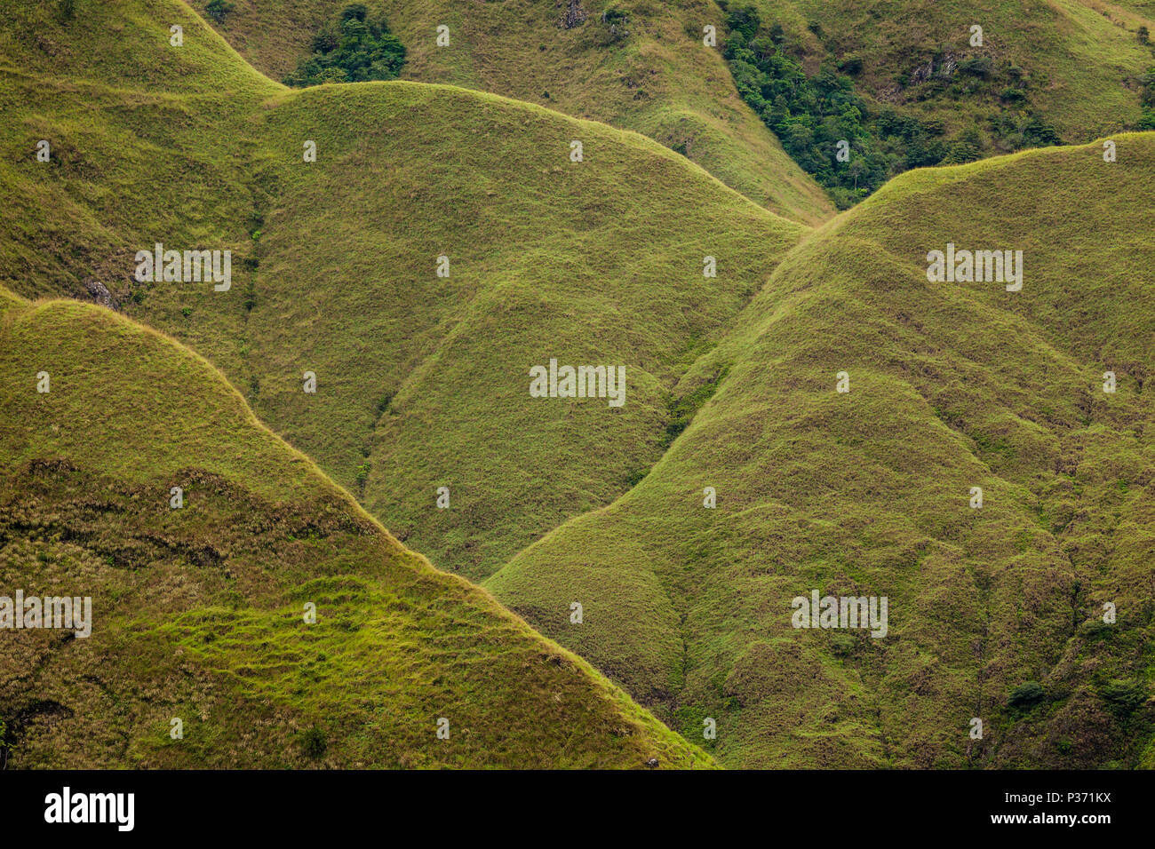 Arty formazioni del Cerros los Picachos de Ola montagne, Cordillera Central, Cocle Affitto provincia, Repubblica di Panama. Foto Stock