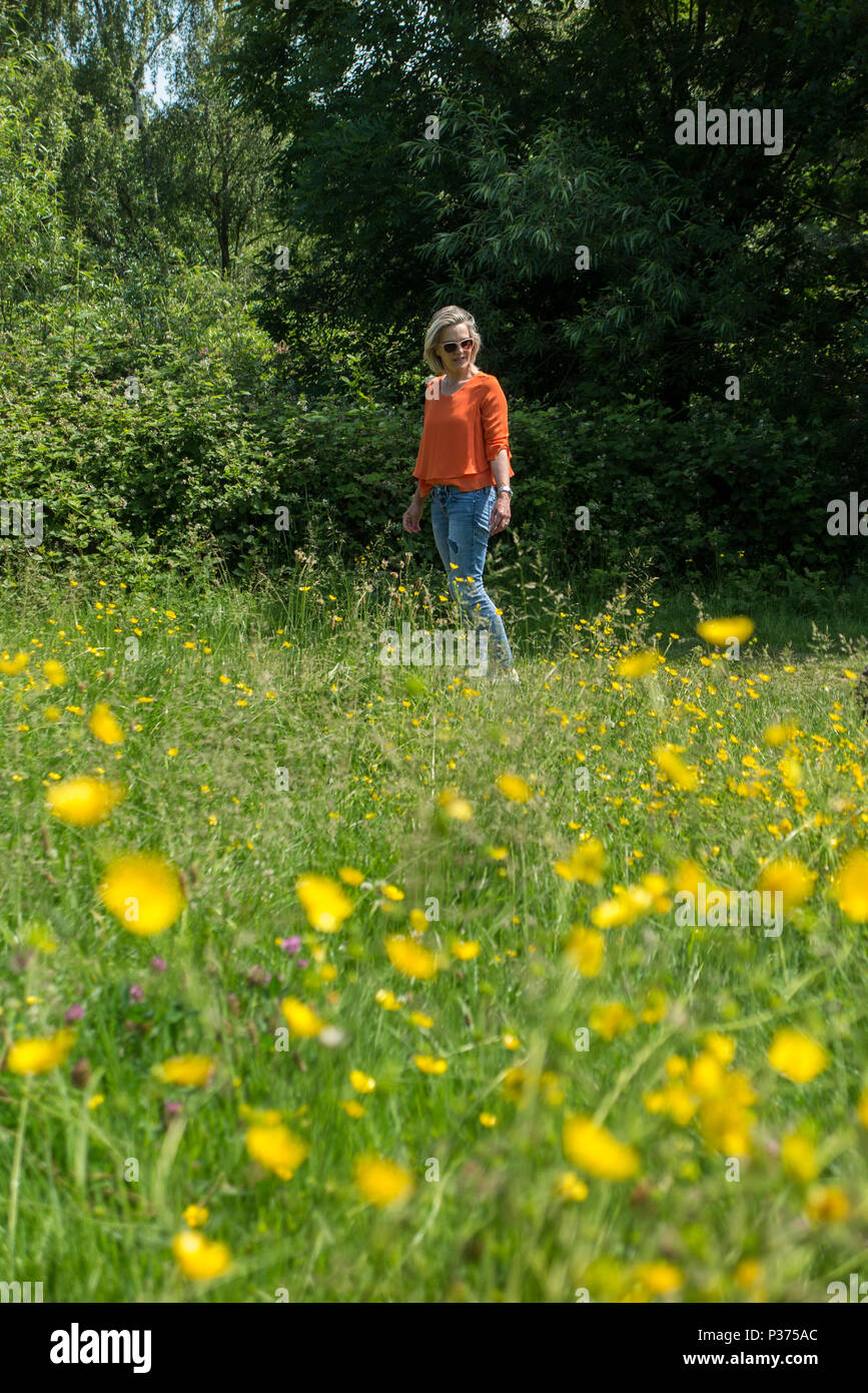 Una donna in una maglietta arancione cammina il suo cane in un parco di Londra contro un campo di renoncules e fiori di colore giallo Foto Stock Una donna in una maglietta arancione cammina il suo cane in un parco di Londra contro un campo di renoncules e fiori di colore giallo Foto Stock