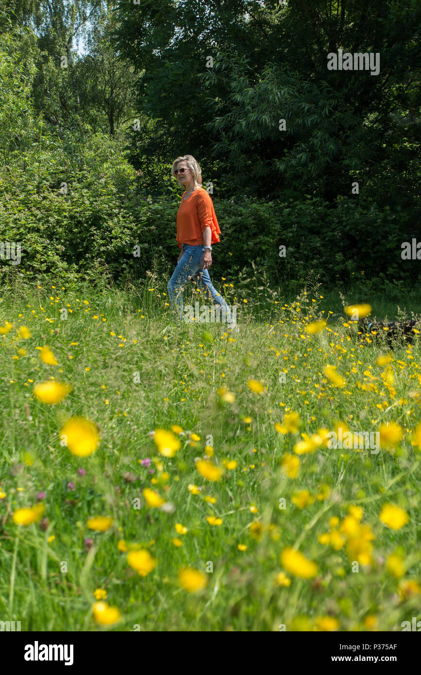 Una donna in una maglietta arancione cammina il suo cane in un parco di Londra contro un campo di renoncules e fiori di colore giallo Foto Stock Una donna in una maglietta arancione cammina il suo cane in un parco di Londra contro un campo di renoncules e fiori di colore giallo Foto Stock