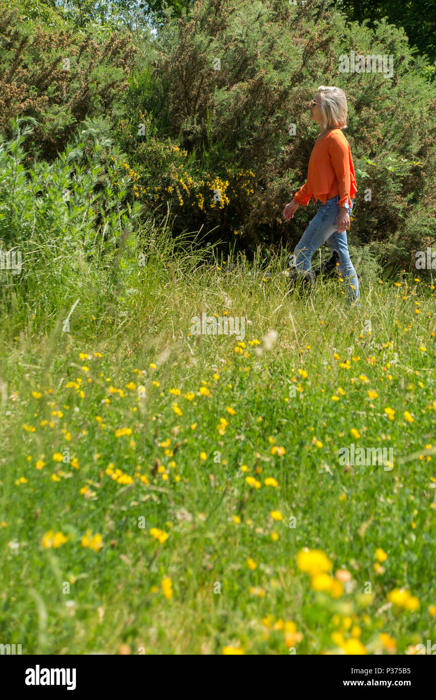 Una donna in una maglietta arancione cammina il suo cane in un parco di Londra contro un campo di renoncules e fiori di colore giallo Foto Stock Una donna in una maglietta arancione cammina il suo cane in un parco di Londra contro un campo di renoncules e fiori di colore giallo Foto Stock