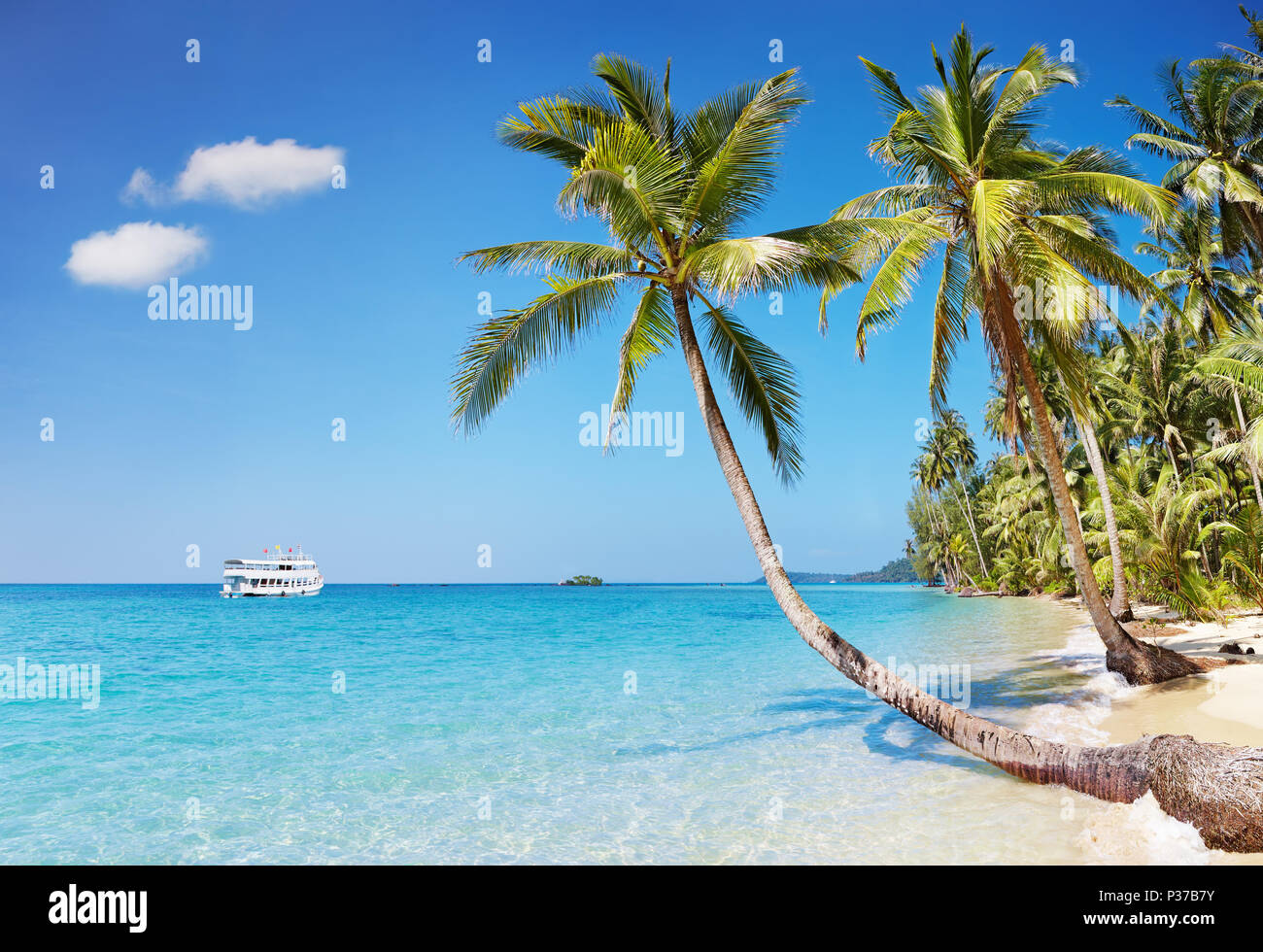 Spiaggia tropicale con palme, Kood island, Thailandia Foto Stock
