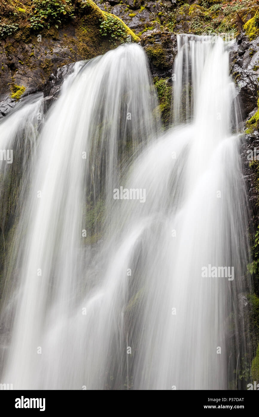 O02539-00...OREGON - Dettaglio di Falls Creek Falls nell'Umpqua National Forest. Foto Stock