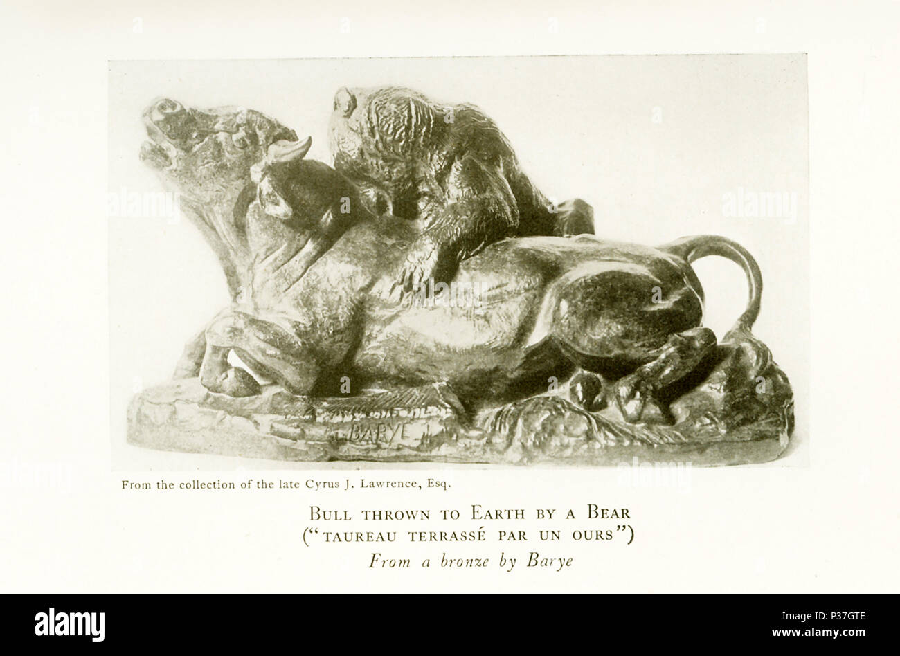 Antoine Louis Barye (1795-1875) era un romantico scultore francese. Egli è meglio conosciuto come scultore di animali (quindi un animalier). Questa scultura da Barye è intitolato "Bull gettato a terra da un orso" ("Biancheria Taureau terasse par le unità organizzative delle nazioni unite") e apparteneva alla collezione del compianto Ciro J. Lawrence, Esq. Foto Stock
