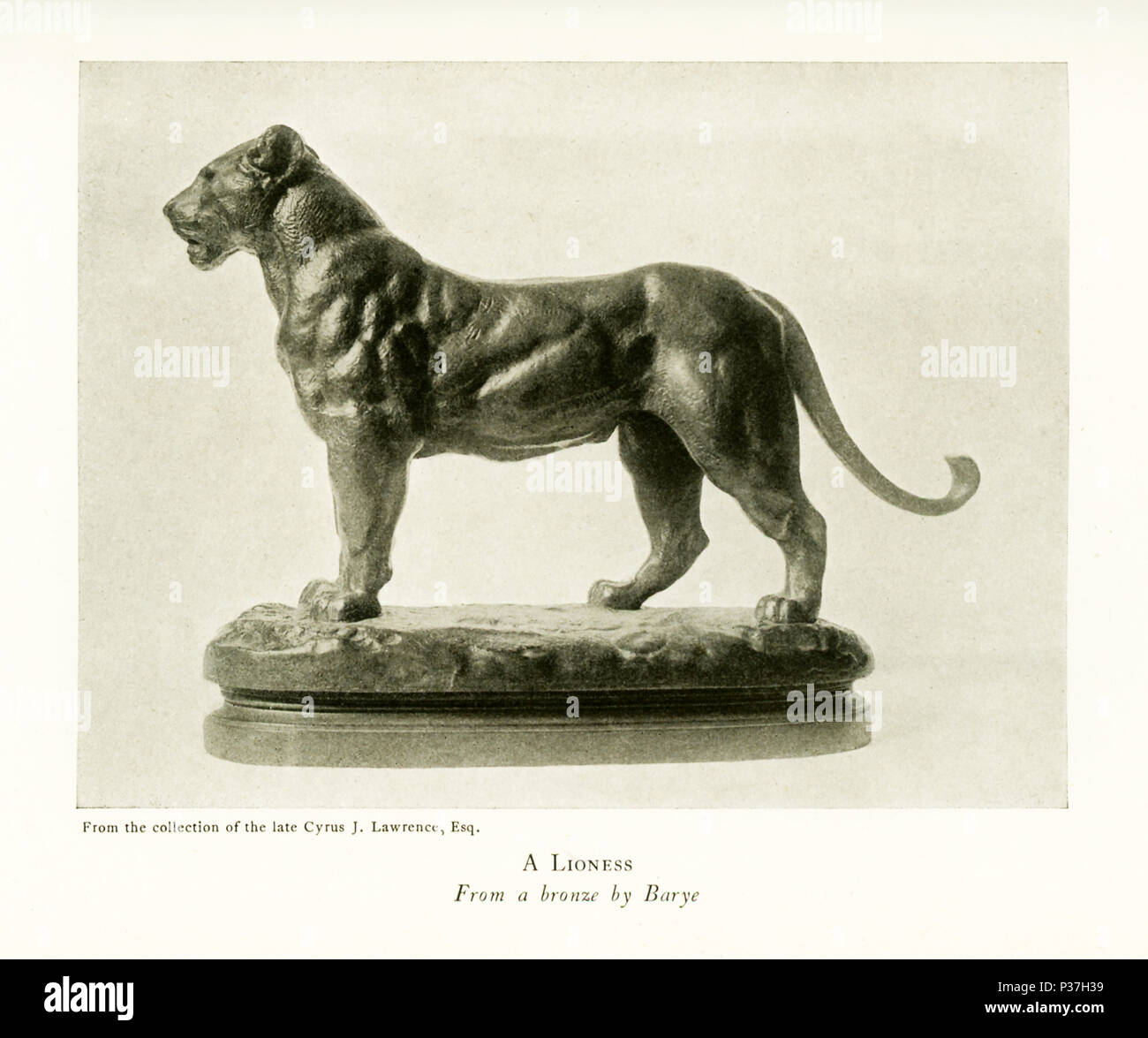Antoine Louis Barye (1795-1875) era un romantico scultore francese. Egli è meglio conosciuto come scultore di animali (quindi un animalier). Questa scultura in bronzo di Barye è intitolato "Una leonessa" e apparteneva alla collezione del compianto Ciro J. Lawrence, Esq. Foto Stock