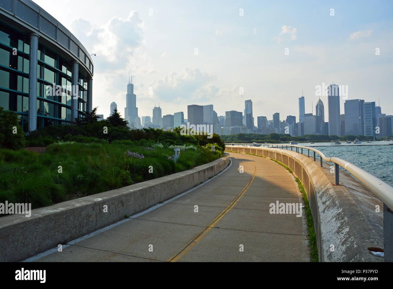 Chicago's skyline appare sul lungolago pista ciclabile come passa il lato posteriore del Shedd Aquarium museo sul lago Michigan litorale. Foto Stock