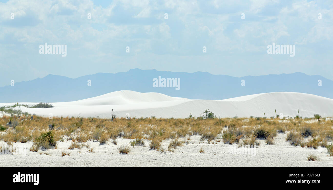 Bianche dune di sabbia nel deserto del sud del New Mexico con le montagne sullo sfondo Foto Stock