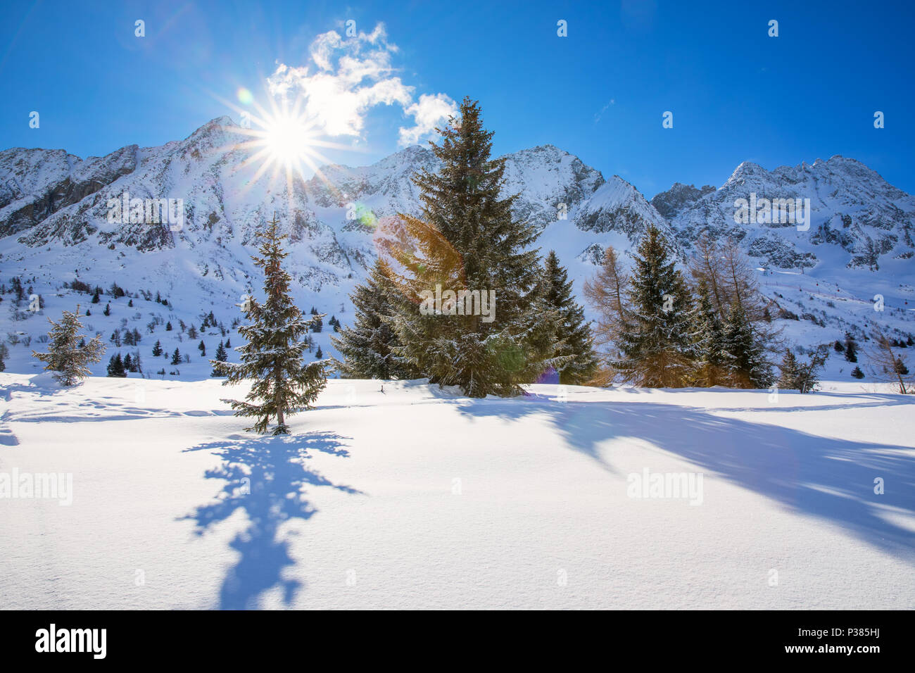 Alberi coperti di neve fresca nelle Alpi. Incredibile paesaggio invernale. Foto Stock