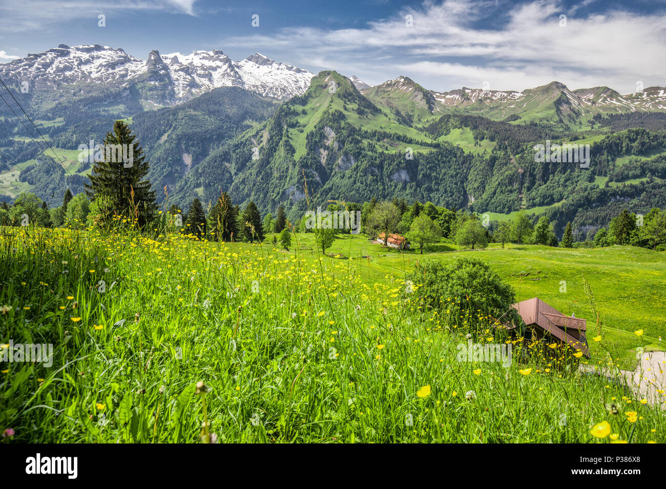 Paesaggio meraviglioso panorama delle Alpi svizzere, Fronalpstock, Klingenstock e Chaiserstock vicino Illgau. Illgau è un villaggio nel distretto di Svitto nel cant Foto Stock
