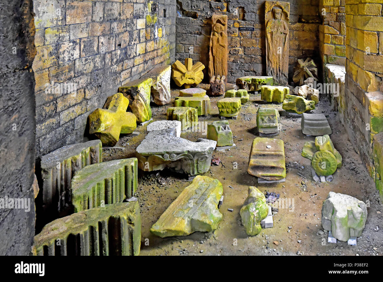 Priorato di Tynemouth e Castello di Cappella dei Priori Foto Stock