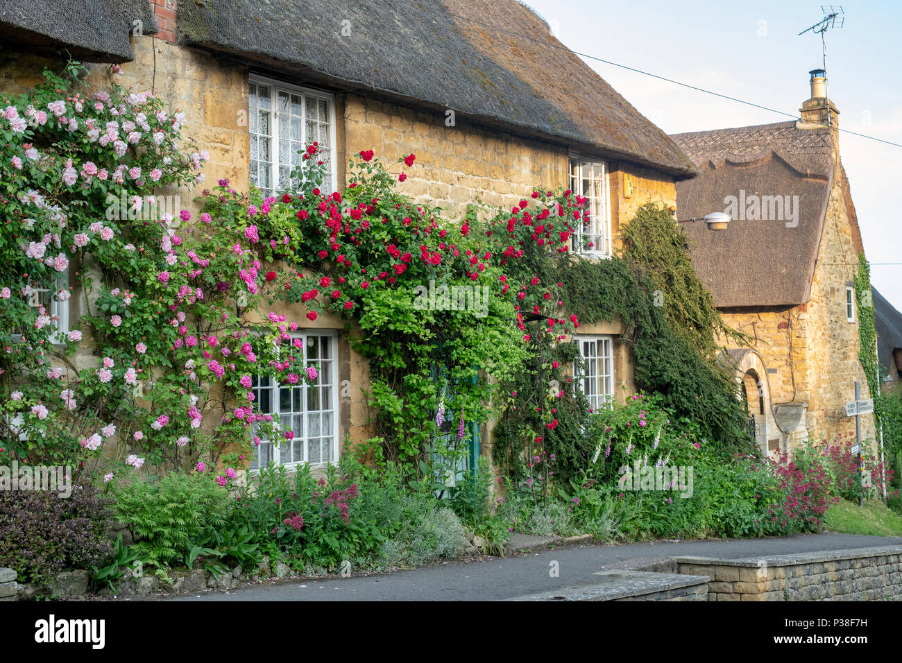 Cottage con tetto in paglia e rose rampicanti in Ebrington, Chipping Campden, Gloucestershire, Inghilterra Foto Stock