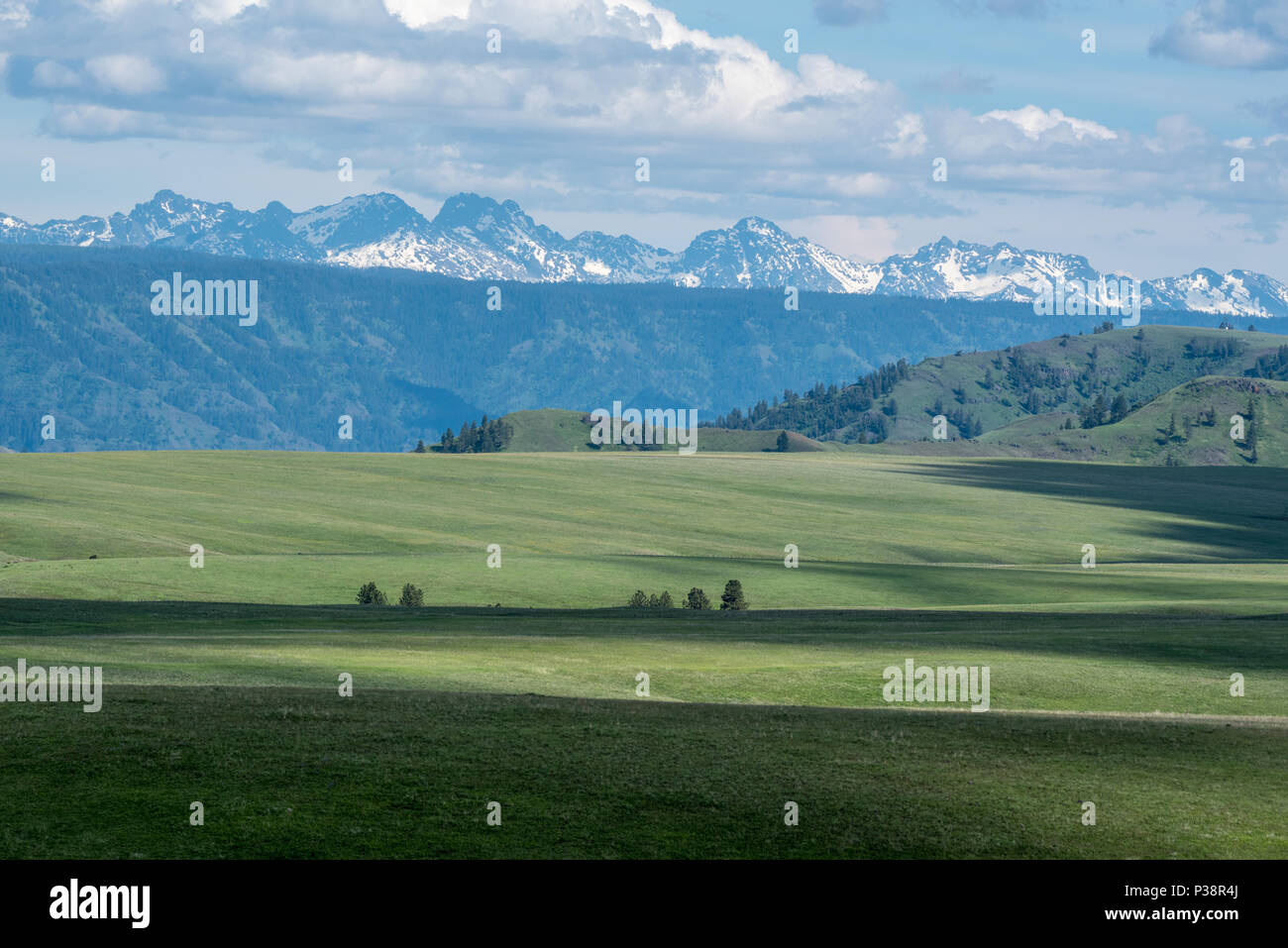 Oregon's Zumwalt Prairie con i sette demoni montagne di Idaho nella distanza. Foto Stock