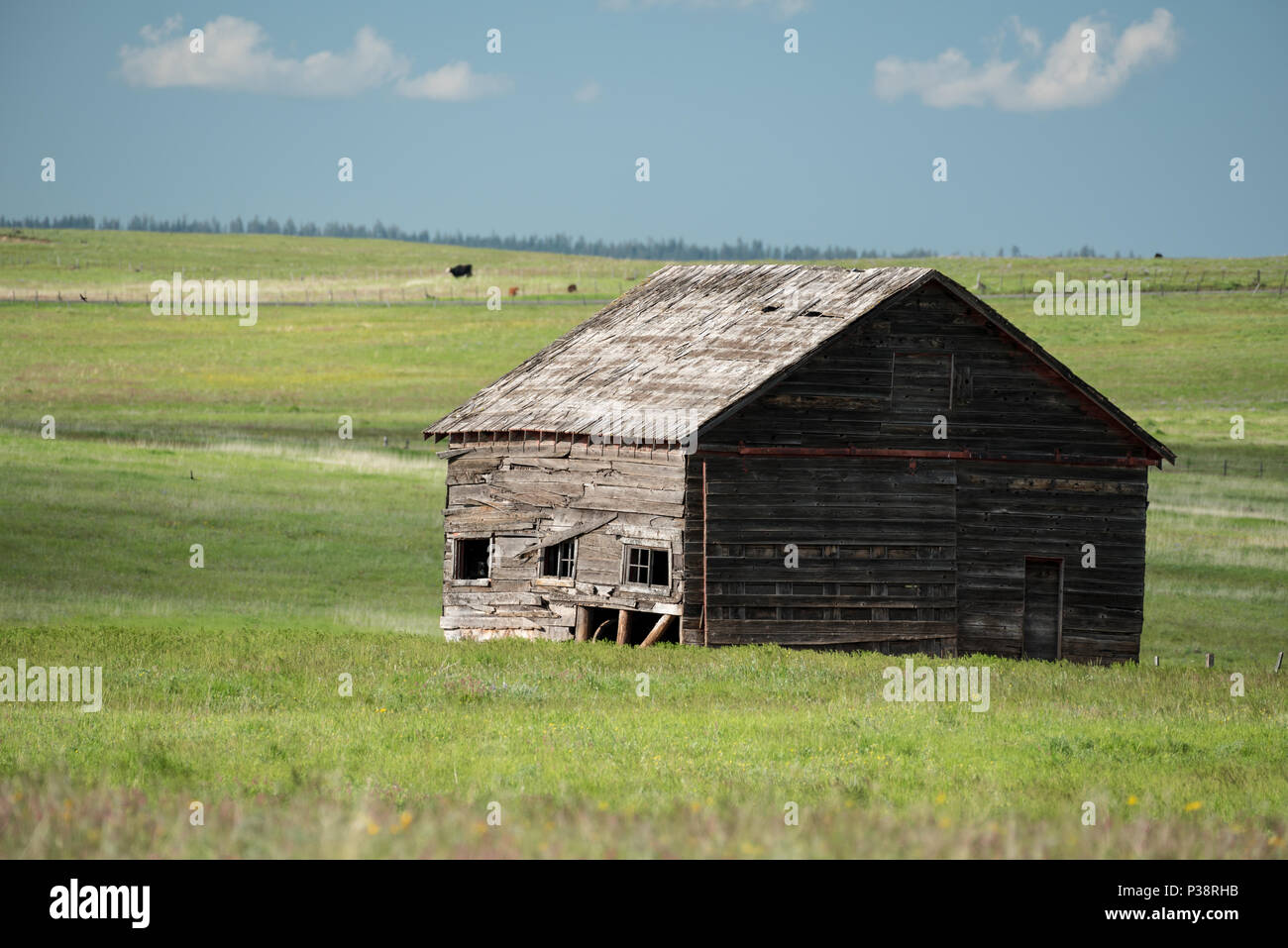 Il vecchio fienile su Oregon's Zumwalt Prairie. Foto Stock