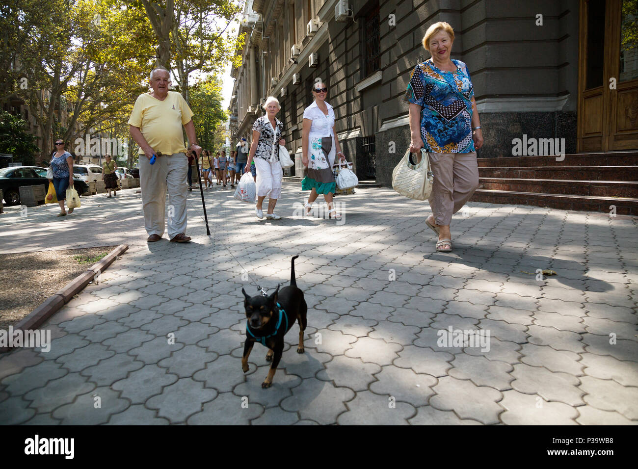 Odessa, Ucraina, titolare di pensione o di rendita va con il suo piccolo cane Gassi Foto Stock