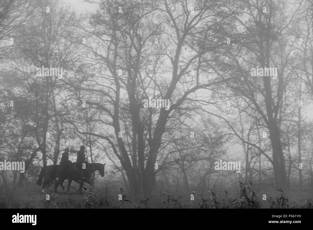 Berlino, Germania, corsa in caso di nebbia fitta sul Rieselfeldern Foto Stock