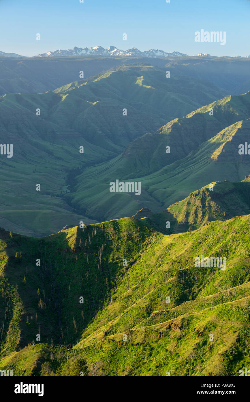 Hells Canyon e le sette demoni montagne, Oregon/Idaho. Foto Stock