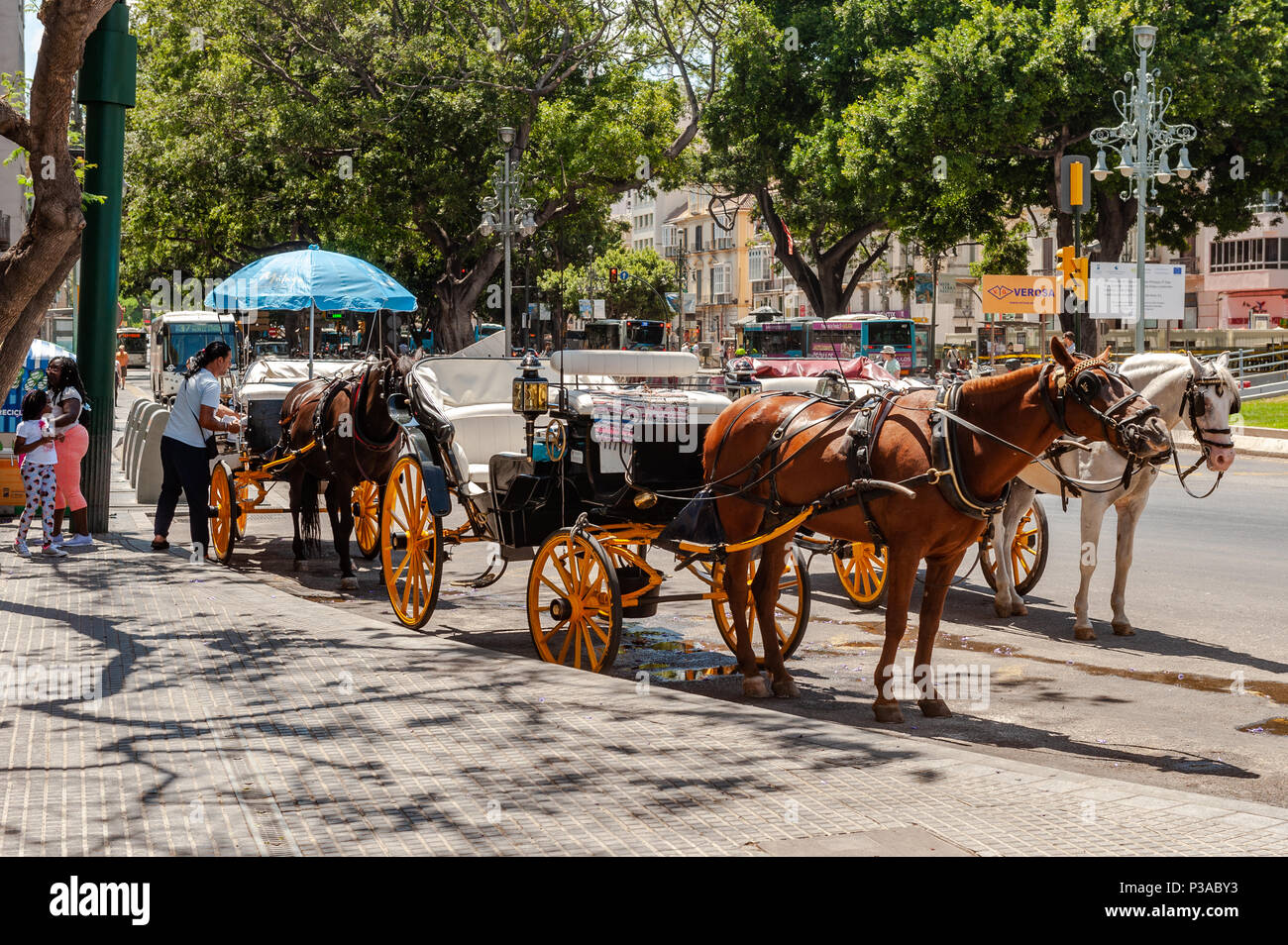 Cavalli e carrozze linea fino a dare giostre per il turista nella città di Malaga, Malaga, Costa del Sol, Spagna. Foto Stock