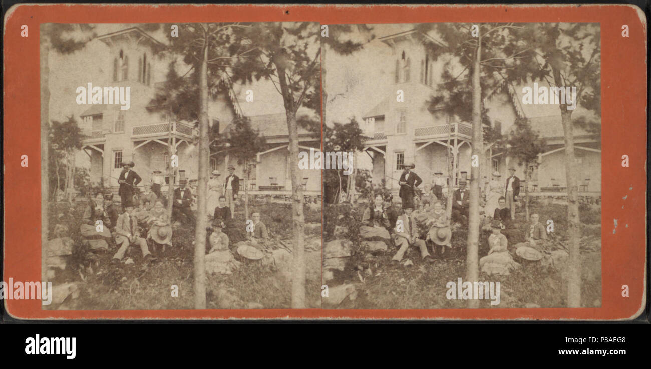 . Lungo ramo. Copertura: 1870?-1890?. Fonte Imprint: Alessandria Bay, N.Y. : Crossman House Studio Fotografico, 1870?-1890?. Elemento digitale pubblicata 10-24-2005; aggiornato 2-11-2009. 172 lungo ramo, di A. C. MCINTYRE Foto Stock