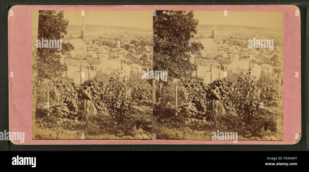 173 guardando giù Dubuque, Iowa, da root, Samuele, 1819-1889 Foto Stock