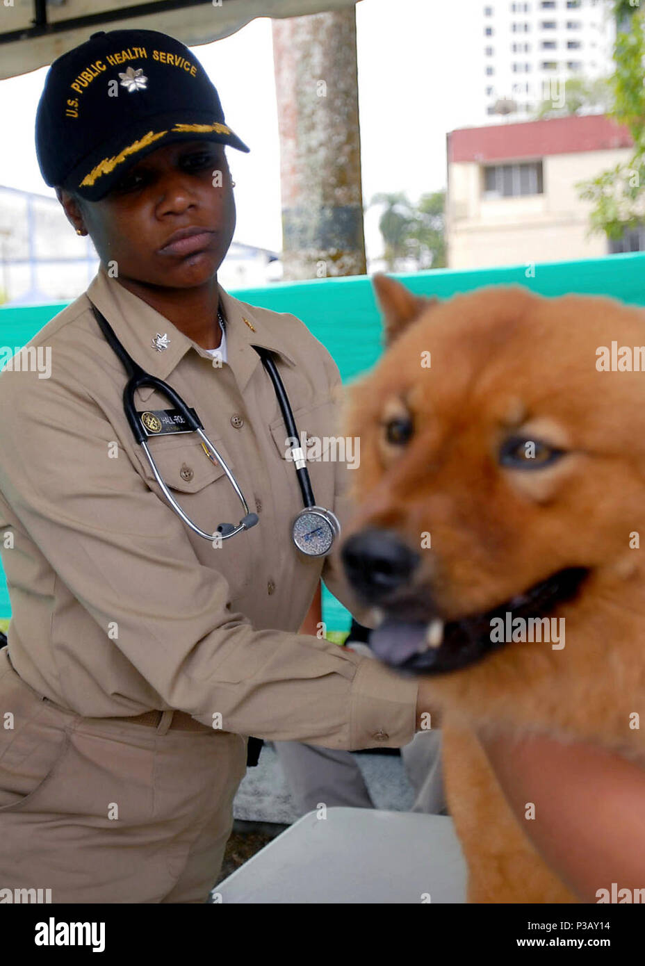 BUENAVENTURA, Colombia (Agosto 25, 2007) - Cmdr. Elvira Hall-Robinson, dell'U.S. Servizio sanitario pubblico attaccato al militare di comando Sealift nave ospedale USNS Comfort (T-AH 20), fornisce assistenza veterinaria presso il Colosseo Bueanaventura. Il comfort è su quattro mesi di distribuzione umanitario per l America Latina e i Caraibi fornendo cure mediche in una dozzina di paesi. Stati Uniti Navy Foto Stock