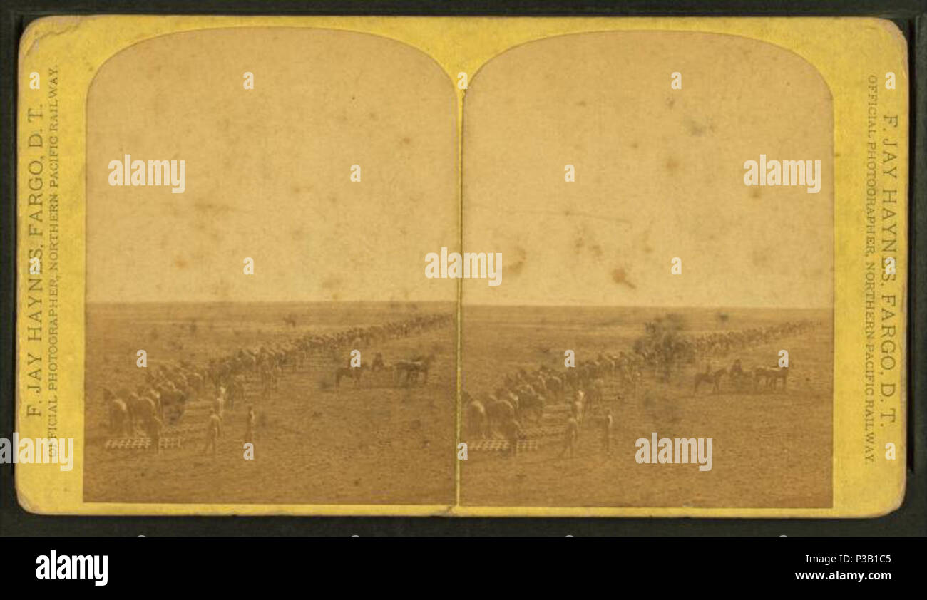 . Gli uomini con i team di aratri a cavallo la semina di un campo. Copertura: 1876?-1903?. Fonte impronta: Moorhead, Minn. ; Fargo, D. T. ; San Paul, Minn. : F. Jay Haynes, 1876?-1903?. Elemento digitale pubblicata 8-11-2006; aggiornato 2-13-2009. 188 uomini con squadre di aratri a cavallo la semina un campo da Haynes, F. Jay (Frank Jay), 1853-1921 Foto Stock