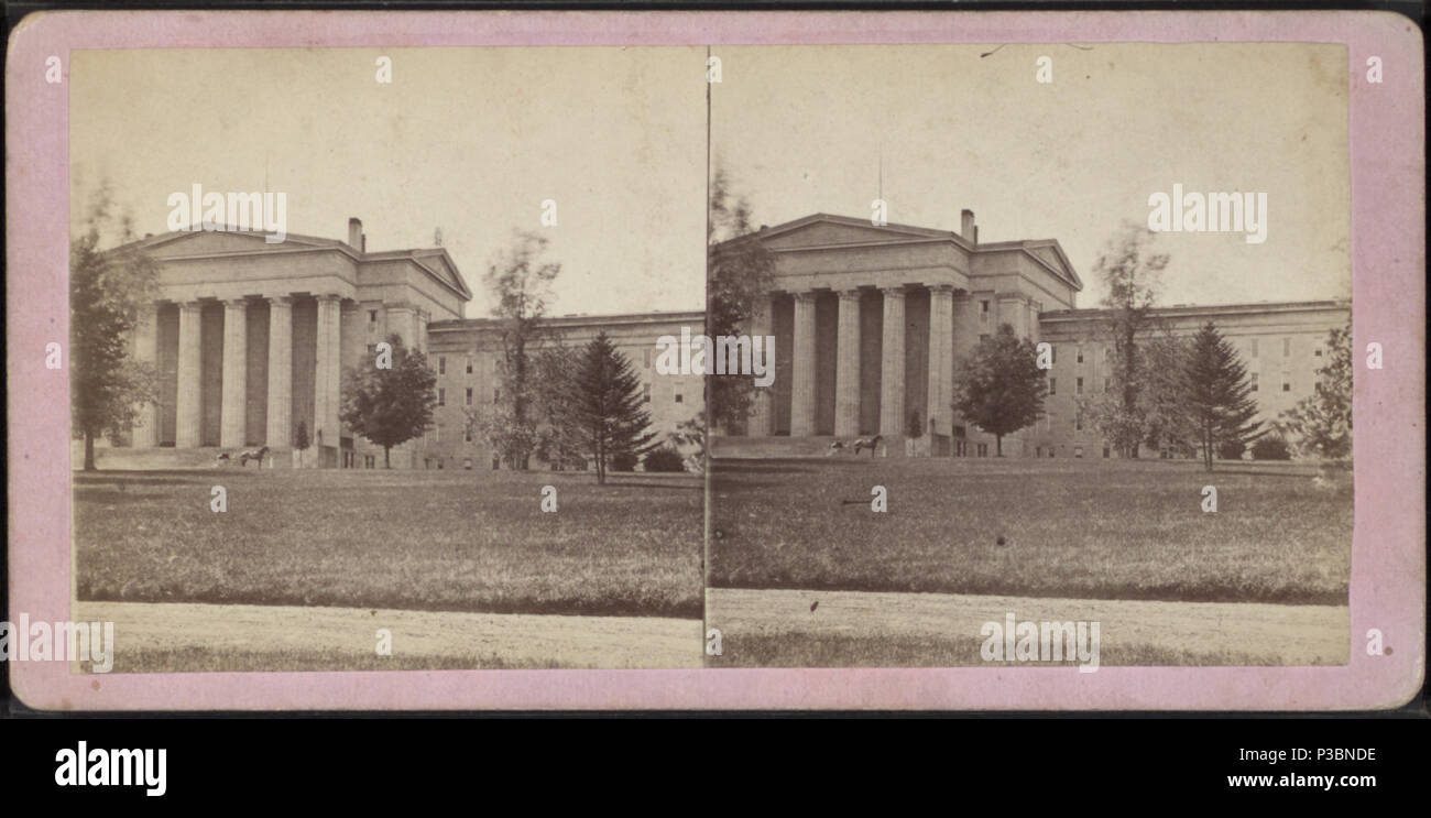 203 N.Y.S. Manicomio, da prato, da William E. James Foto Stock