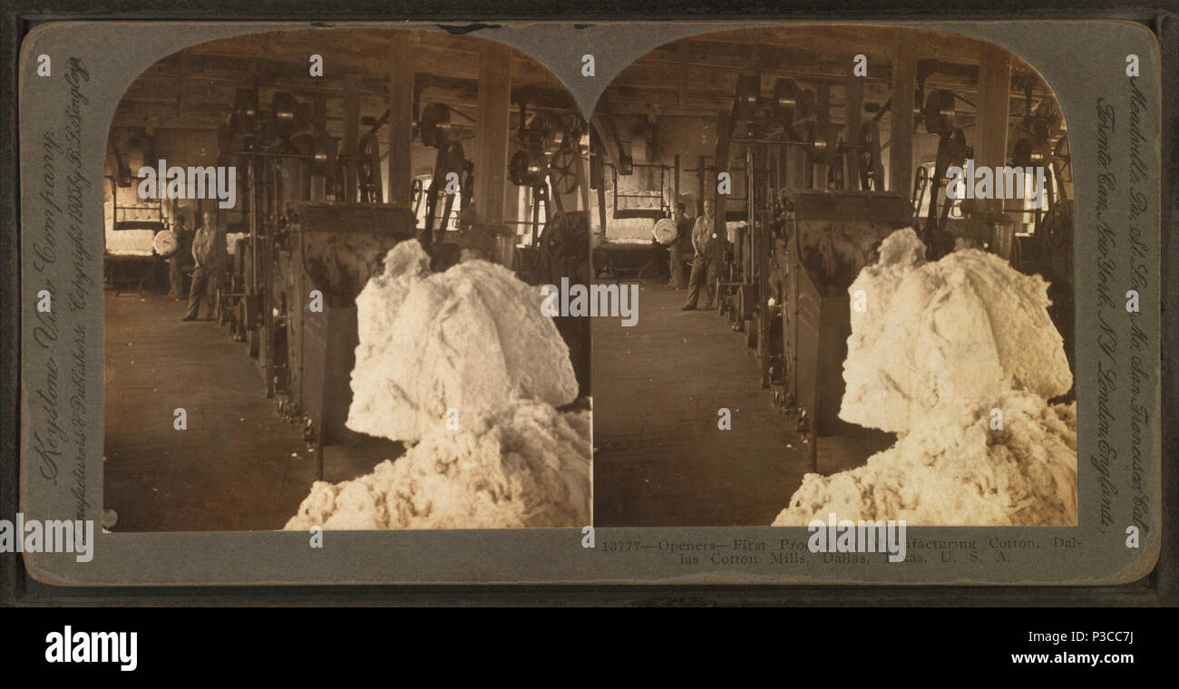 . Gli assolcatori - primo processo nella produzione di cotone, Dallas Cotton Mills, Dallas, Texas, U.S.A. Titolo alternativo: No.13777 . Copertura: 1865?-1915?. Fonte Imprint: 1865?-1915?. Elemento digitale pubblicata 12-1-2005; aggiornato 4-23-2009. 224 gli assolcatori - primo processo nella produzione di cotone, Dallas Cotton Mills, Dallas, Texas, USA, da Singley, B. L. (Benjamin Lloyd) Foto Stock