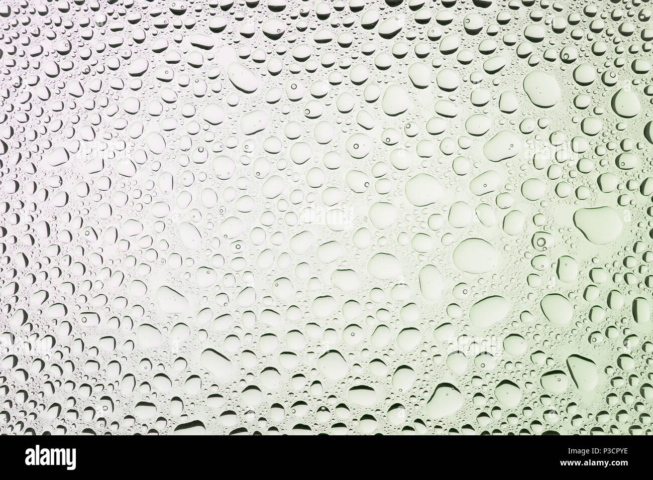 In prossimità di una di gocce di acqua su un gradiente bianco sfondo, coperto con gocce di acqua : la condensazione. Foto Stock