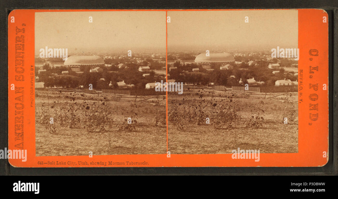 . Salt Lake City, Utah, mostrando il Mormon Tabernacle. Titolo alternativo: American scenario. Una vista del Lago Salato tabernacolo della chiesa di Gesù Cristo dei Santi degli Ultimi Giorni e che la circonda . Copertura: 1865?-1910?. Fonte Imprint: 1865?-1910?. Elemento digitale pubblicata 1-25-2006; aggiornato 2-13-2009. 262 Salt Lake City, Utah, mostrando il Mormon Tabernacle, da stagno, C. L. (Charles L.) Foto Stock
