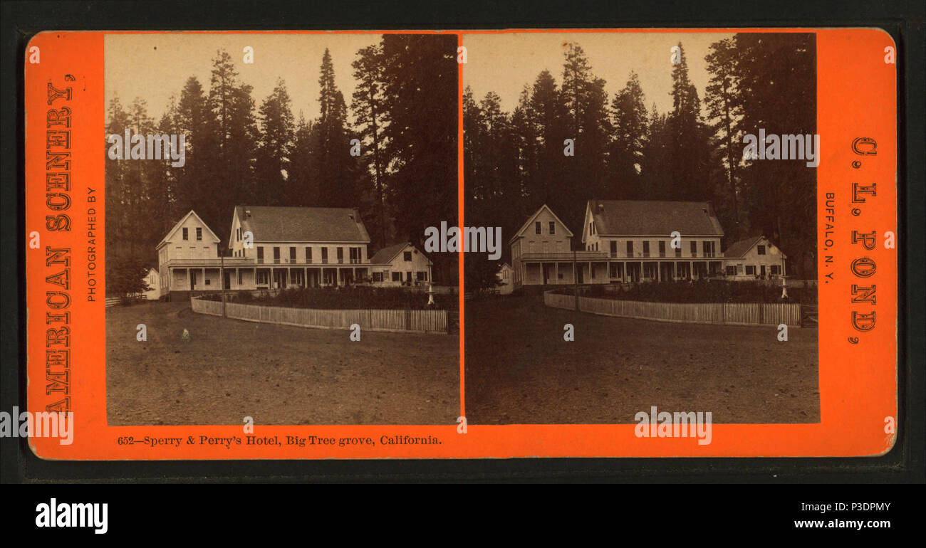278 Sperry &AMP; Perry's Hotel, Big Tree Grove, California, da stagno, C. L. (Charles L.) Foto Stock