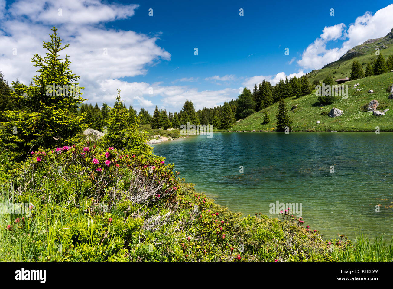 Idilliaco lago di montagna paesaggio delle Alpi Svizzere Foto Stock