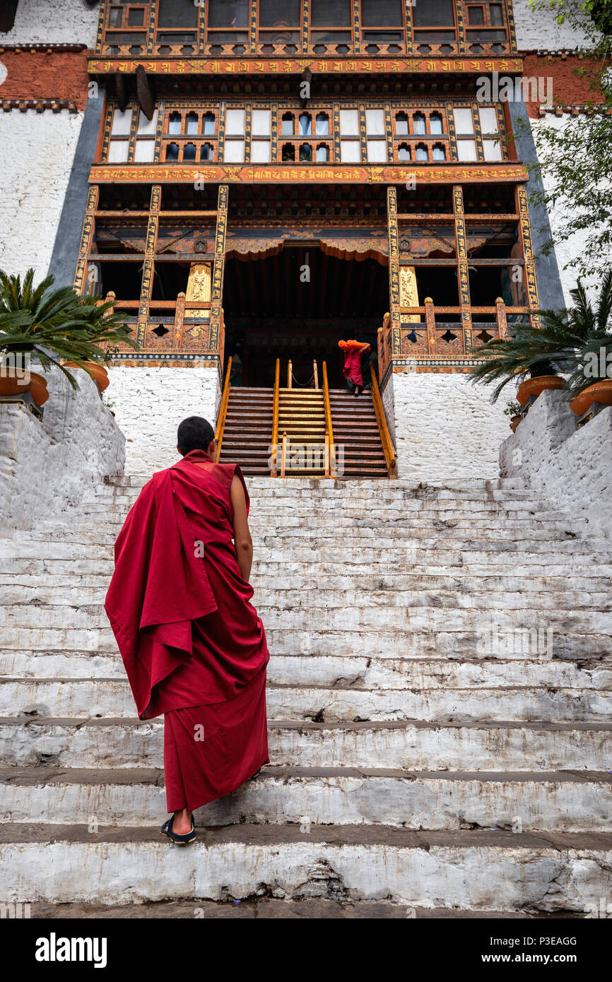 La bellezza di Punakha Dzong è incompleta senza i suoi monaci, drapped in abito rosso. Foto Stock