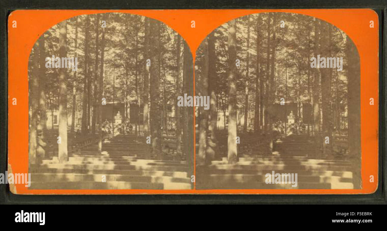 . Altoparlanti stand con panche, altoparlante a leggio. Copertura: 1865?-1880?. Fonte Imprint: 1865?-1880?. Elemento digitale pubblicata 8-31-2005; aggiornato 2-12-2009. 278 dell'Altoparlante stand con panche, altoparlante a leggio, di W.A. Prescott &AMP; Co. Foto Stock