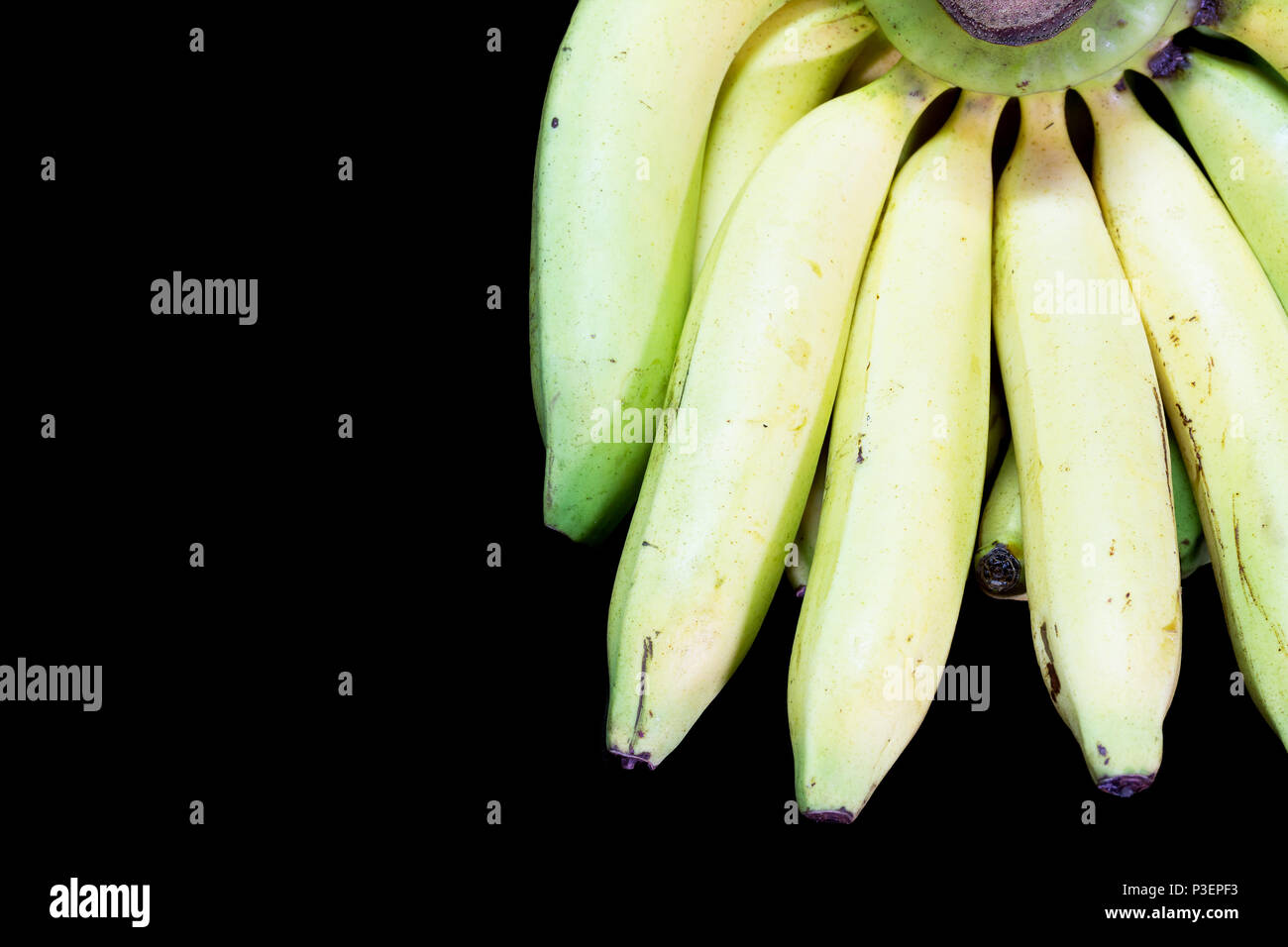 Cavendish banane sul granito nero lo sfondo della tabella. Foto Stock