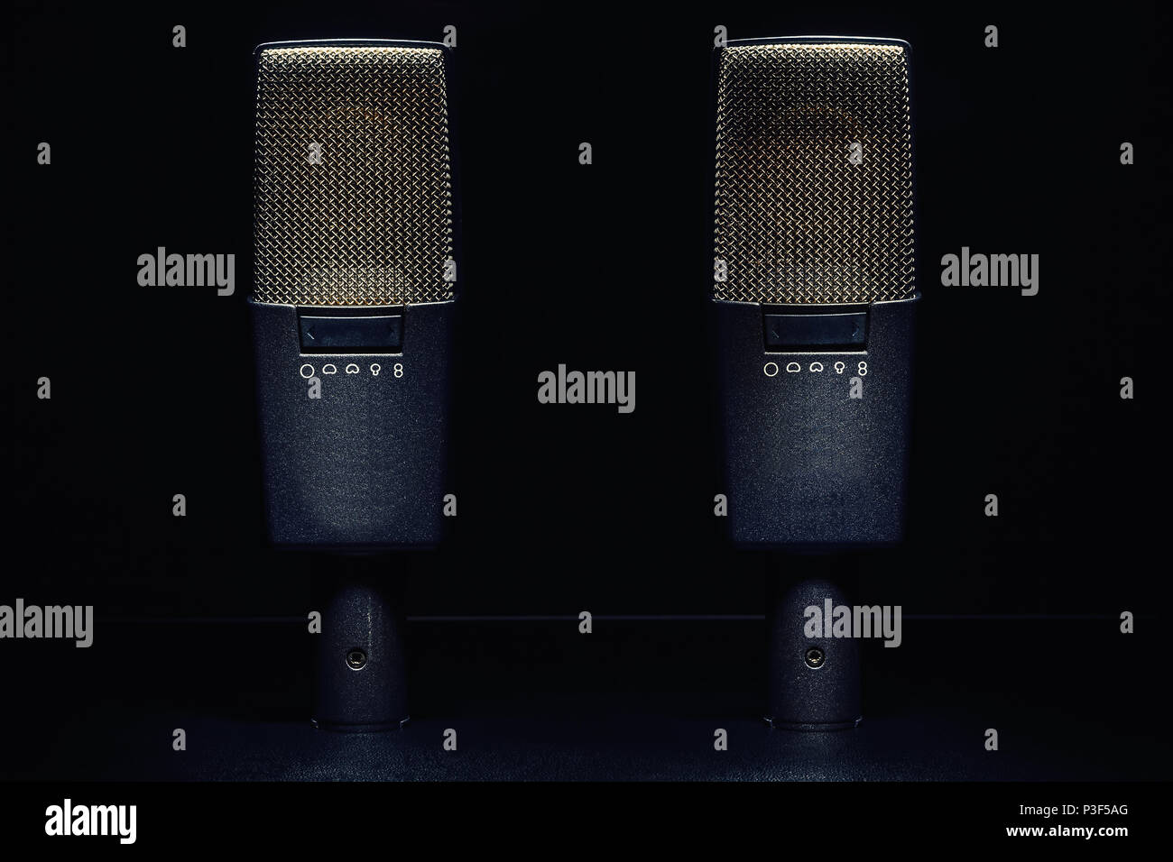 Primo piano sul moderno microfono a condensatore, membrana e i dettagli di configurazione. Foto Stock