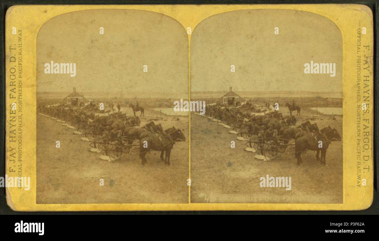. Il Spiritwood fattorie. [Fila di aratri a cavallo schierate per lavoro.] . Copertura: 1876?-1903?. Fonte impronta: Moorhead, Minn. ; Fargo, D. T. ; San Paul, Minn. : F. Jay Haynes, 1876?-1903?. Elemento digitale pubblicata 8-11-2006; aggiornato 2-13-2009. 322 Il Spiritwood fattorie. (Riga di aratri a cavallo schierate per lavoro.), da Haynes, F. Jay (Frank Jay), 1853-1921 Foto Stock