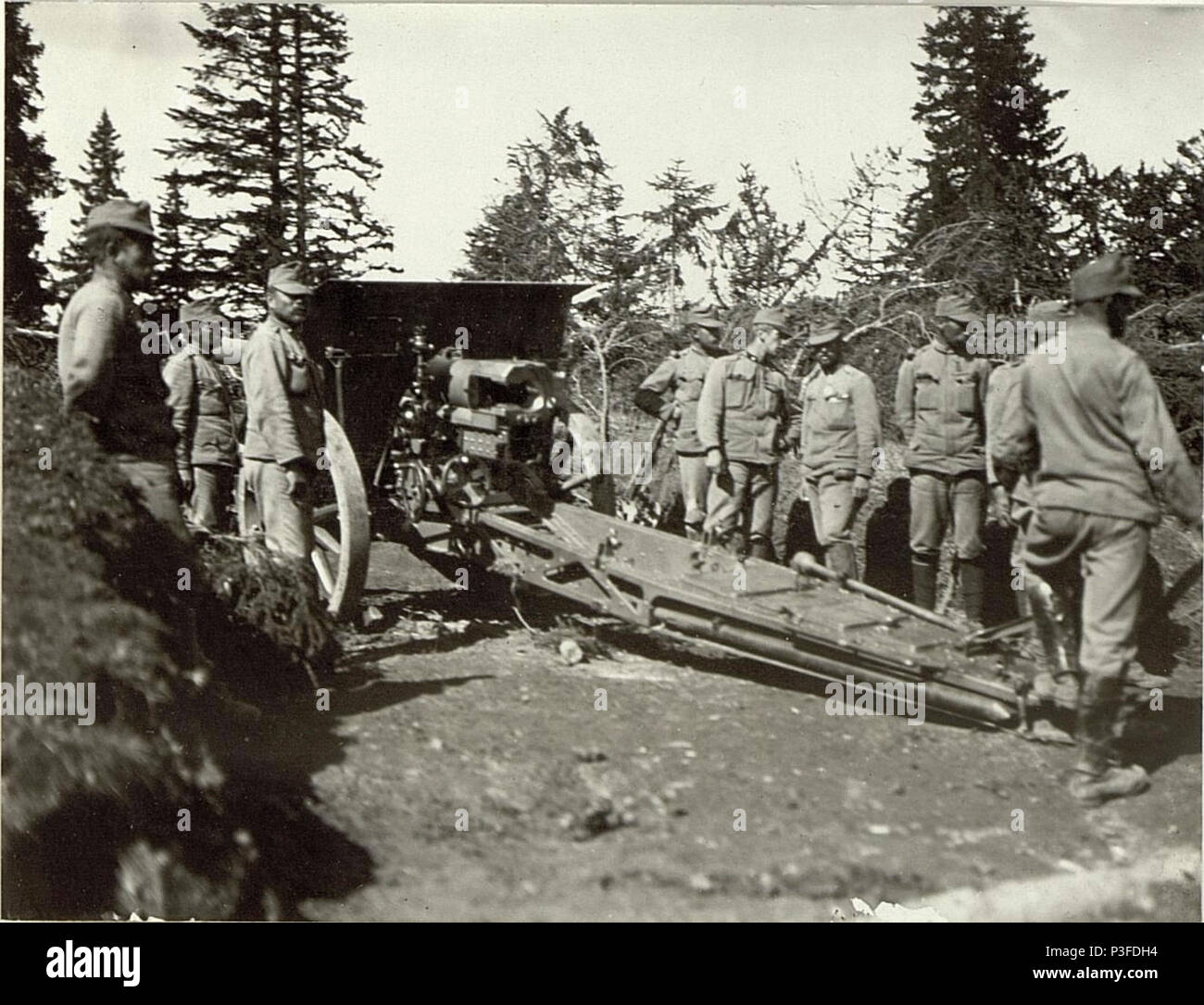 10.4 cm batterie in Stellung auf Prassniksattel. 10.4 cm batterie 1, des FAB.Nro.1. (BildID 15462246). Foto Stock