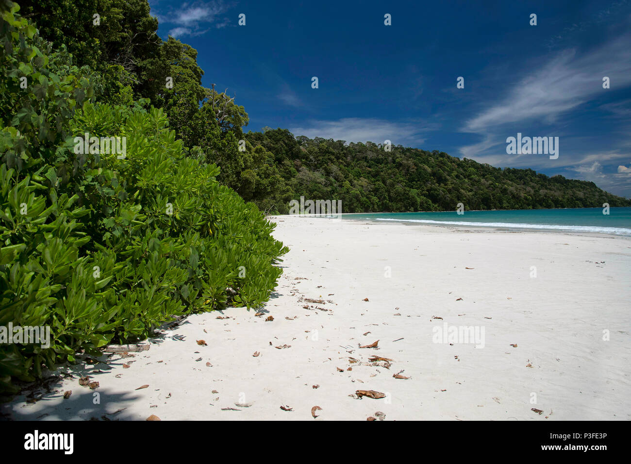 Radhanagar beach, Havelock Island Isole Andamane Foto Stock