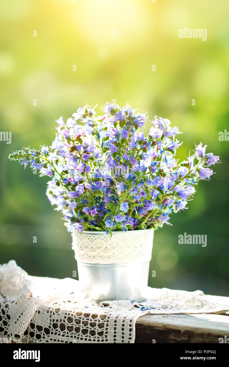 Bellissimi fiori viola in un vaso in un giardino estivo. Estate ancora in  vita Foto stock - Alamy