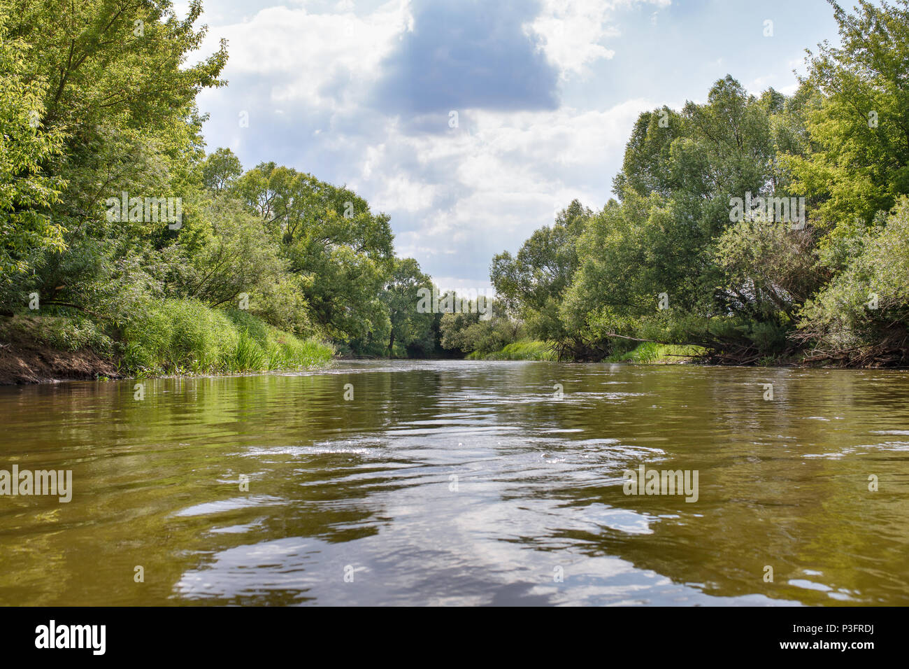 Il fiume selvaggio Drweca, paesaggi polacchi, gli alberi e il verde, spazzola ad alta densità crescente lungo il fiume. La Polonia. Foto Stock