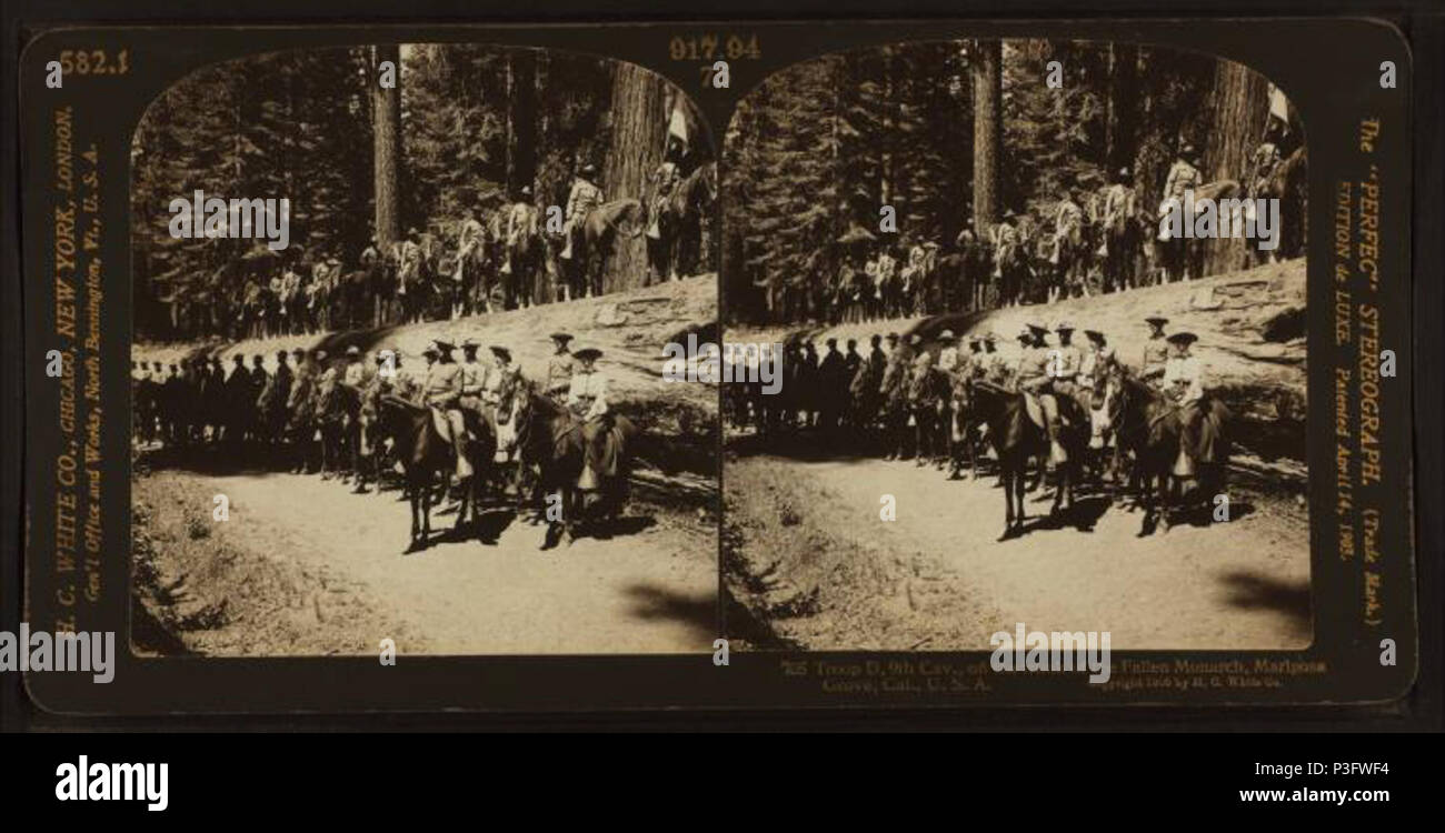 . Truppa D, 9 Cav., sul tronco del Caduto Monarch, Mariposa Grove, Cal., U.S.A. Creato: 1900-1905. Copertura: 1900-1905. Elemento digitale pubblicata 7-18-2005; aggiornato 2-12-2009. 333 Squadrone D, 9 Cav., sul tronco del Caduto Monarch, Mariposa Grove, Cal., U.S.A, di H.C. White Co. Foto Stock
