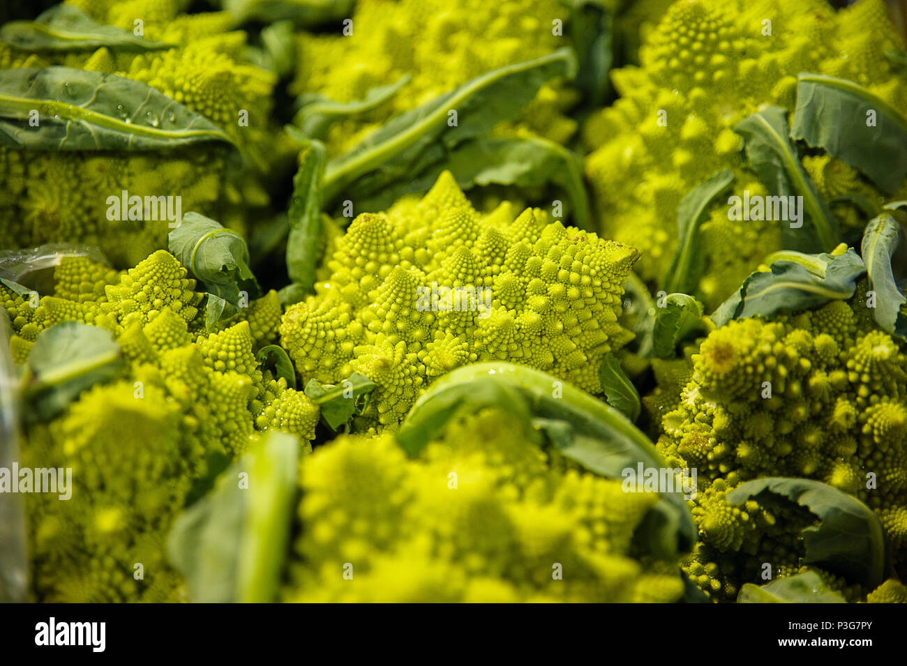 Inquadratura orizzontale di belle ed inconsuete Romanesco broccoli, alternativa vegetali per broccoli e cavolfiore al mercato degli agricoltori Foto Stock