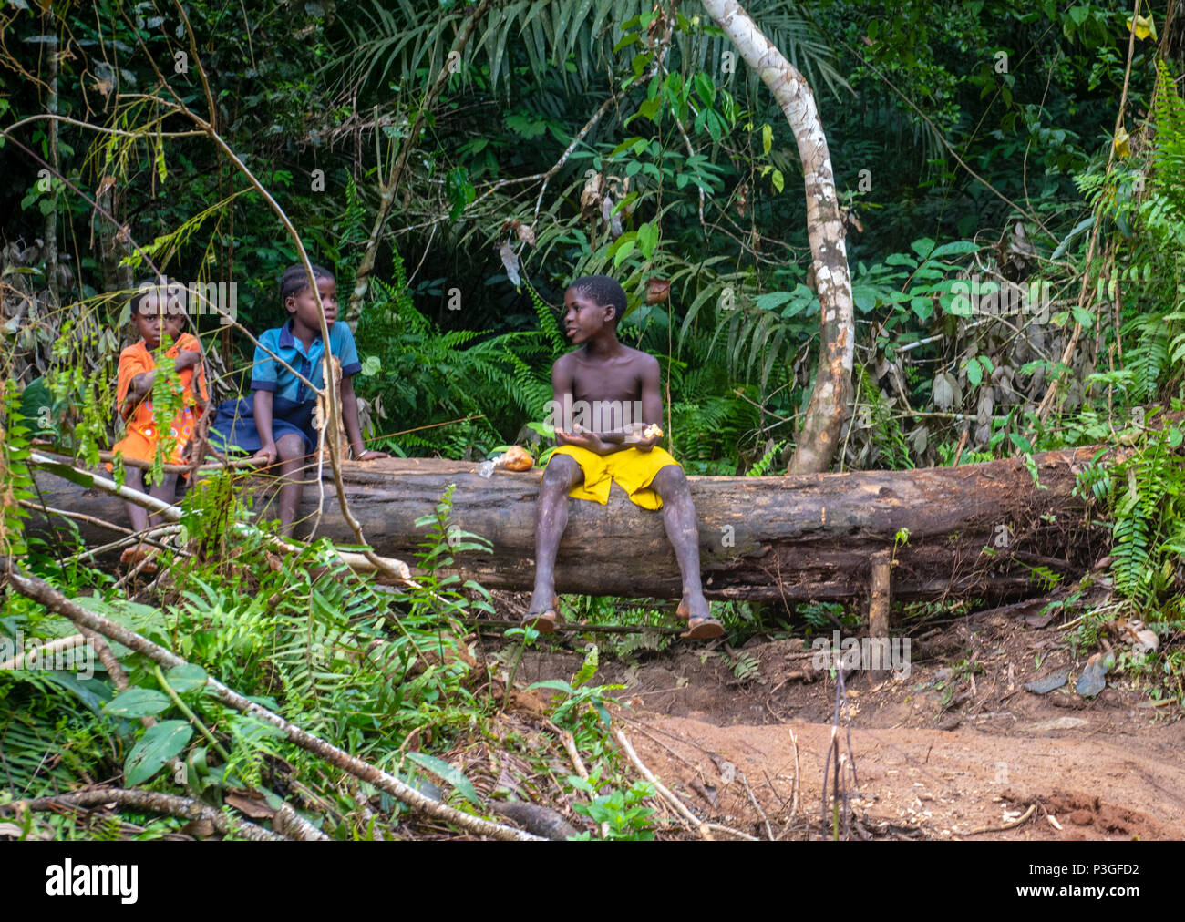 Tre bambini africani seduti su un registro nella giungla vicino Bagyliem,Camerun, Foto Stock