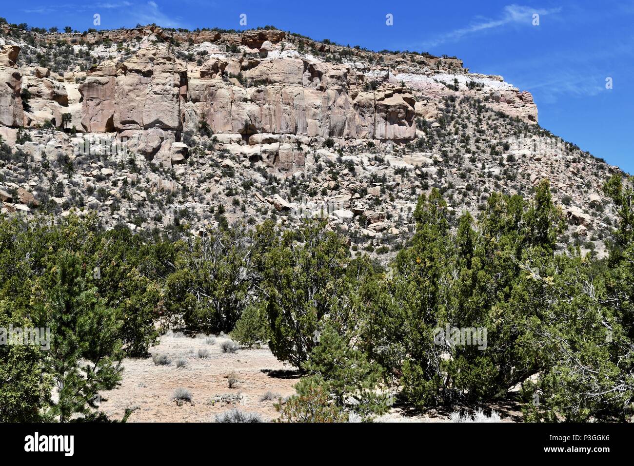 Il paesaggio del deserto di El Malpais monumento nazionale Foto Stock