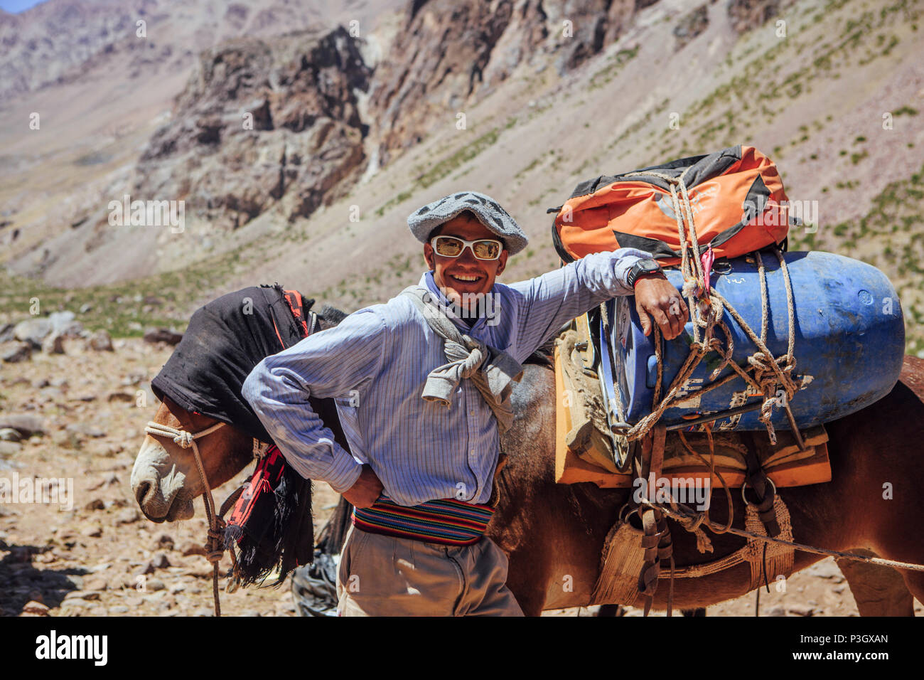 Argentina cowboy supervisione mulo treno di forniture lungo il sentiero per il campo base del Aconcagua, Mendoza, Argentina Foto Stock