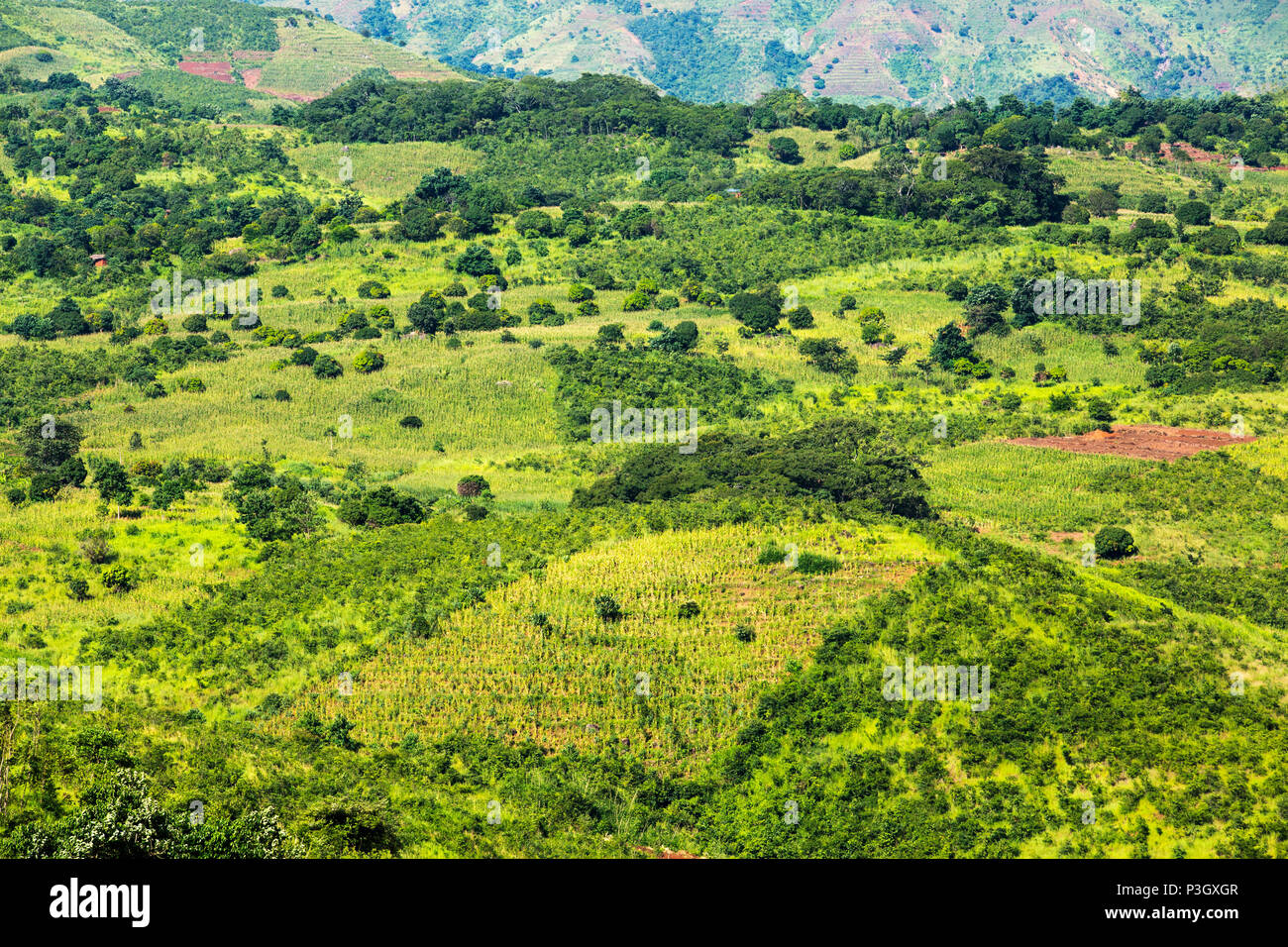 Scenario di terre deforestate, Shire Valley, Malawi Foto Stock