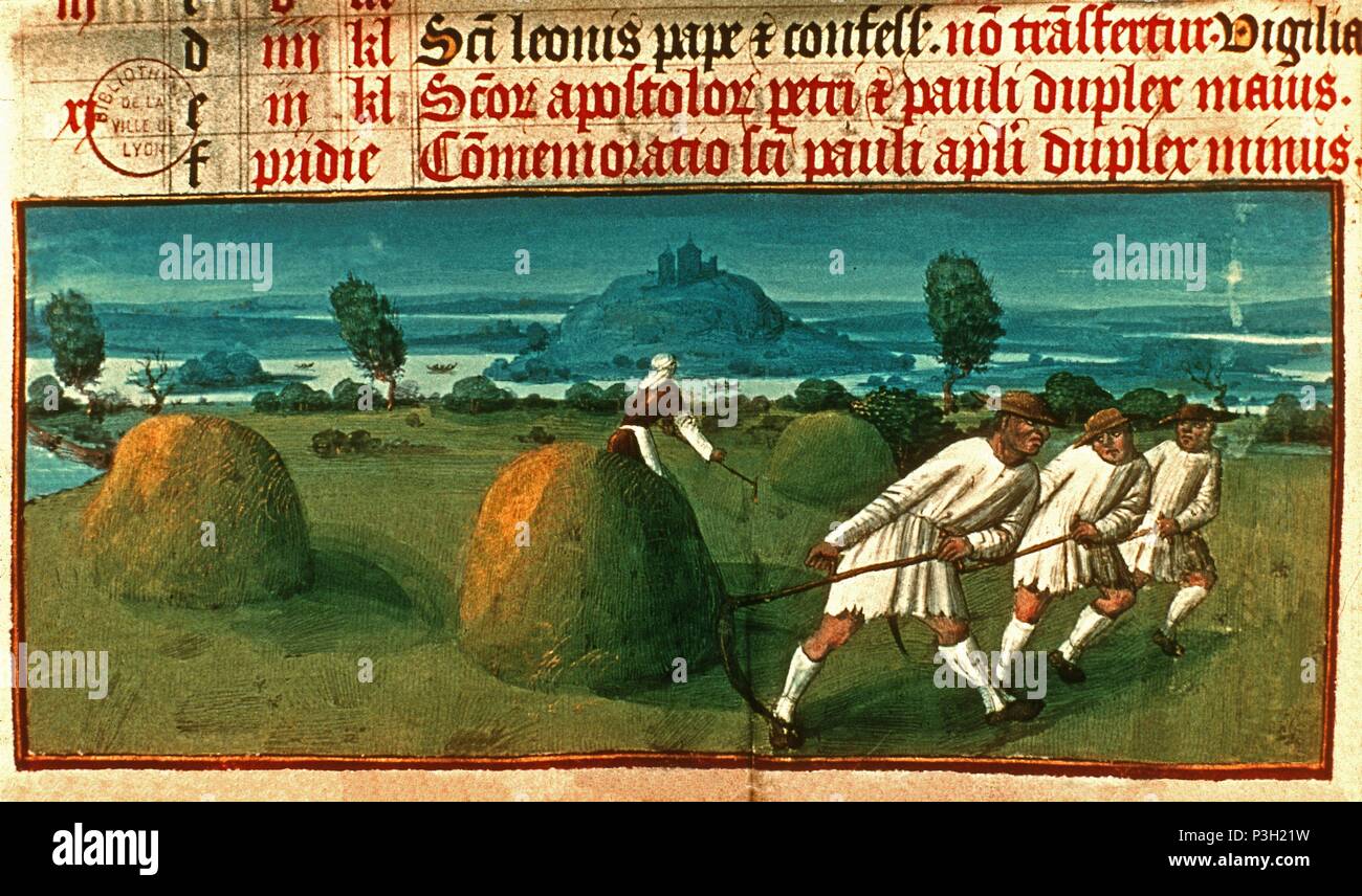 LIBRO DE HORAS DE 1430-LA SIEGA DE HENO-EDAD MEDIA-AL MODO DEL LIBRO HORAS DEL DUQUE DE Berry. Posizione: Biblioteca Nazionale, Francia. Foto Stock