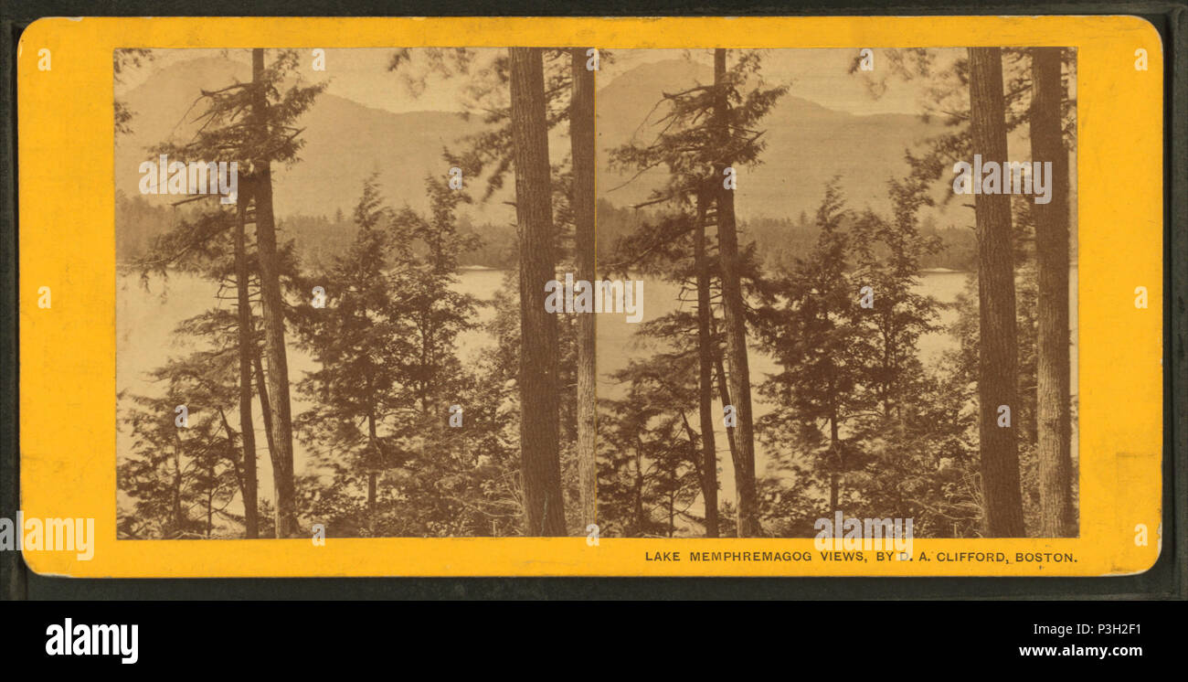 362 Vista del gufo di testa dalla foresta vicino Laird battuta del. Lago e Long Island in primo piano, di Clifford, D.A., d. 1889 Foto Stock