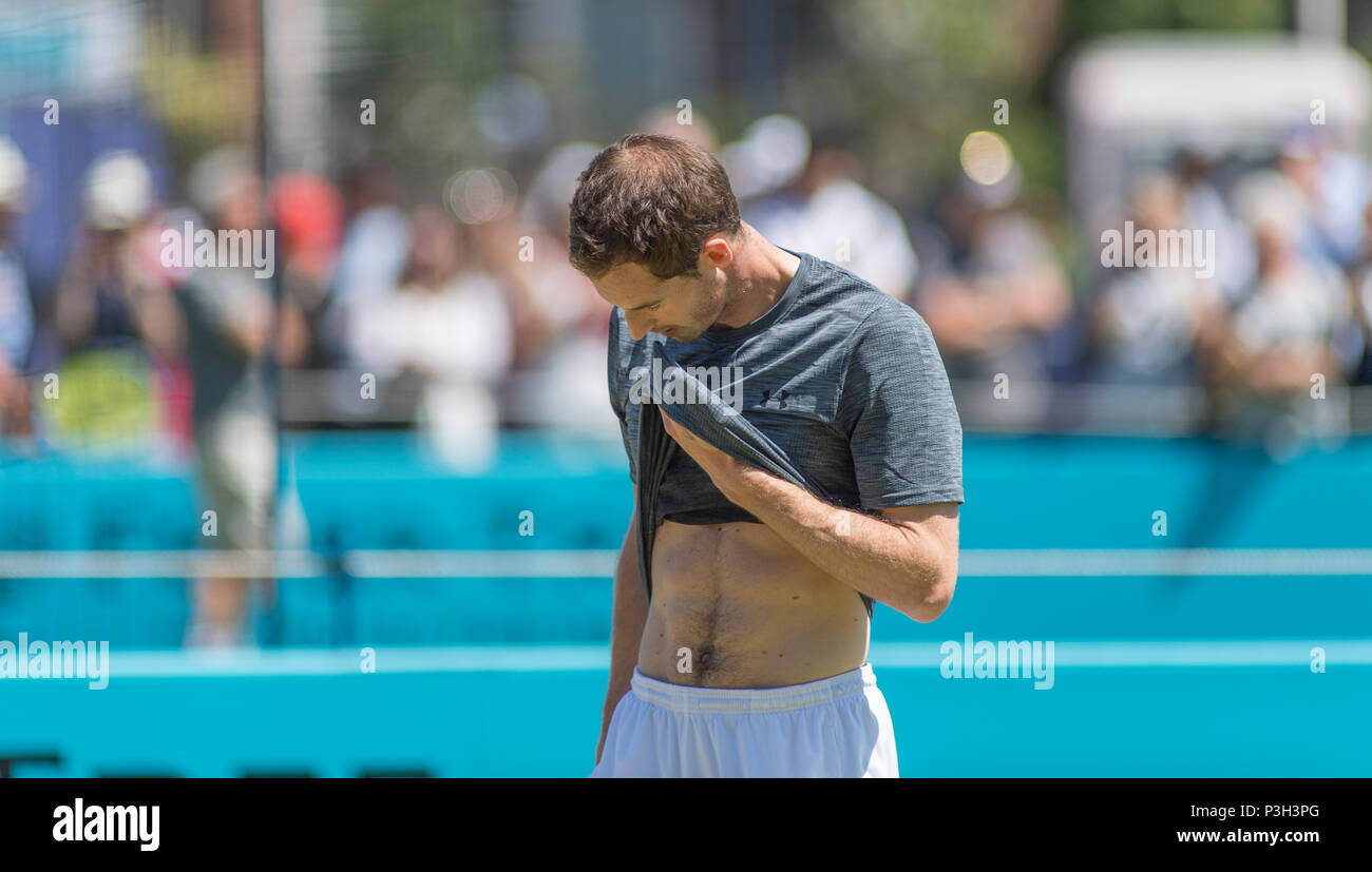 La Queen's Club di Londra, Regno Unito. 18 Giugno, 2018. Andy Murray (GBR) in un pomeriggio sessione di libere il giorno 1 dell'erba court tennis campionati, un preludio a Wimbledon. Credito: Malcolm Park/Alamy Live News. Foto Stock