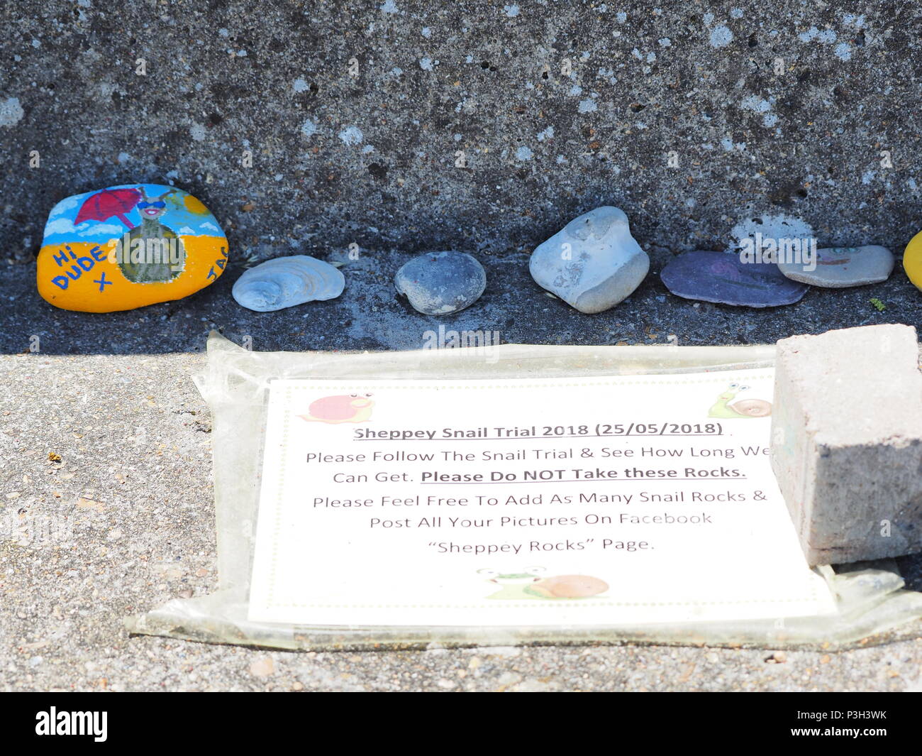 Cattedrale sul mare, Kent, Regno Unito. Il 18 giugno, 2018. 'Sheppey Snail Trail" è una lunga linea di colorfully dipinto di ciottoli che è stata edificazione lungo Minster sulla passeggiata a mare (attualmente di circa 40m) sull'Isle of Sheppey in Kent. Il display è parte del famoso dipinto di roccia fenomeno che vede la ricerca creativa della pittura di ghiaia promossa dal formato localmente i social media gruppi in tutto il Regno Unito. Questo particolare percorso è promosso da un gruppo di Facebook chiamato 'Sheppey Rocks'. Credito: James Bell/Alamy Live News Foto Stock