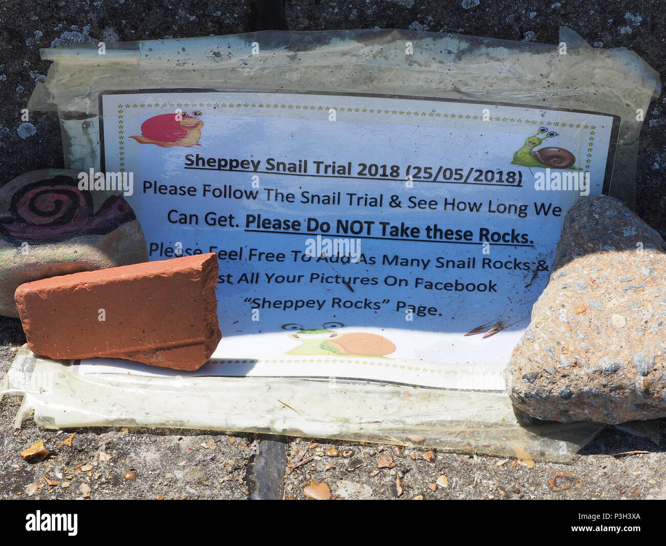 Cattedrale sul mare, Kent, Regno Unito. Il 18 giugno, 2018. 'Sheppey Snail Trail" è una lunga linea di colorfully dipinto di ciottoli che è stata edificazione lungo Minster sulla passeggiata a mare (attualmente di circa 40m) sull'Isle of Sheppey in Kent. Il display è parte del famoso dipinto di roccia fenomeno che vede la ricerca creativa della pittura di ghiaia promossa dal formato localmente i social media gruppi in tutto il Regno Unito. Questo particolare percorso è promosso da un gruppo di Facebook chiamato 'Sheppey Rocks'. Credito: James Bell/Alamy Live News Foto Stock